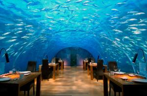 Ithaa-Undersea-Restaurant-at-Conrad-Maldives-Rangali